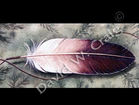 Cedar Feather