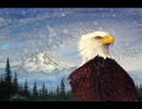 Tahoma