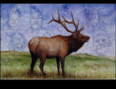 Elk Hunter's Delight