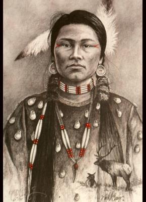 Elk Medicine ~ drawing