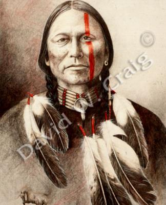 Medicine Horse