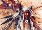 Buffalo Medicine