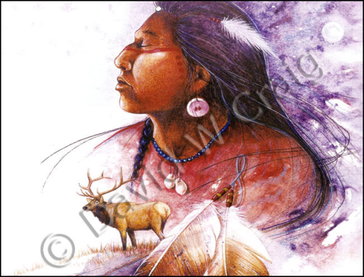 Elk Dreamer