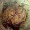 Mother Bear