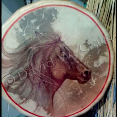 Horse-Medicine
