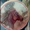Horse-Medicine