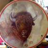Buffalo Medicine